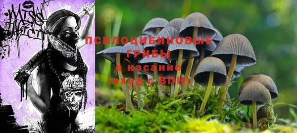 таблы Алзамай